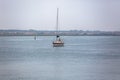 View of Aveiro river with private recreational boat with people sailing. Day with clouds and background with typical vegetation Royalty Free Stock Photo