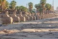 View of the Avenue of the Sphinxes