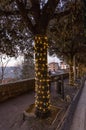 View of an avenue with trees decorated with illuminations