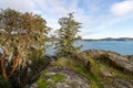 View from Aylard Farm East Sooke Regional Park on the West Coast of Vancouver Island Royalty Free Stock Photo