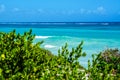 View of the azure blue sea and waves through green bushes