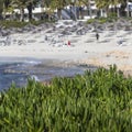 A view of a azzure water and Nissi beach in Aiya Napa, Cyprus Royalty Free Stock Photo