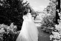 view from the back. a bride running down a path in the park in a wedding dress. Royalty Free Stock Photo