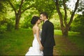 View from back of a couple of lovers, a young beautiful bride in a wedding dress and handsome groom in a black suit Royalty Free Stock Photo