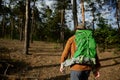 Senior man tourist with backpack walking in forest, view from back Royalty Free Stock Photo