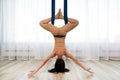 View from the back, a young woman during training in an iro hammock, doing anti-gravity yoga upside down doing anti