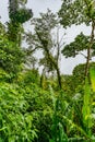 View from the balcony of Sangregado Lodge Hotel room on volcano Arenal and beautiful nature of Costa Rica, La Fortuna Royalty Free Stock Photo