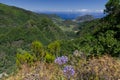 View from BalcÃÂµes viewpoint with views over the valley of the Ribeira da Metade, Madeira, Portugal