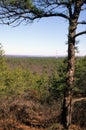 View From Bald Hill