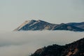 View of the Bald Mountain towering above a dense veil of fog over the coniferous forest of Utrish Nature Reserve and the Black Sea