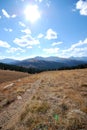 View from Baldy Mountain, near Breckenridge, CO Royalty Free Stock Photo