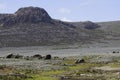 View of bale mountains national park in Ethiopia Royalty Free Stock Photo