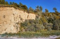View of baltic sea cliff with trees