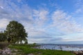 view of Baltic sea coast, Scania region, Sweden Royalty Free Stock Photo