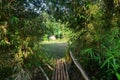 view of a bamboo bridge leading to an open area surrounded by dense vegetation. Royalty Free Stock Photo