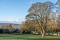 A view of the bandstand and people spending time in Saltwell Park - the main public park in the town