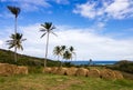 View of Barbados East Coast from a country farm in St. Andrew