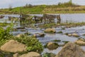 View of a barbed wire fence with plants and moss stuck and stones in the river Maas Royalty Free Stock Photo