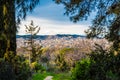 View of Barcelona from a tree tunnel Royalty Free Stock Photo