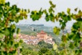 View of Barolo through a vineyard, in Langhe wine district Royalty Free Stock Photo
