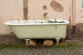 View of basic urban gardening in a defunct old bathtub