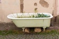 View of basic urban gardening in a defunct old bathtub