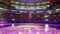 View at basketball court in Scotiabank Arena