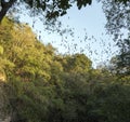 View of The Bat Volcano of Calakmul Royalty Free Stock Photo