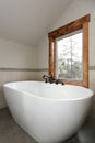 View of bathroom design with a white sleek freestanding tub