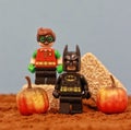 View of Batman and Robin lego figurine standing by the hays and pumpkins - Halloween concept