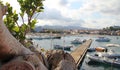 View of the bay with boats, the beach and the pier from behind the trees, a small seaside town, with houses near the sea and fishi