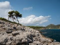 View of the bay of canyamel, mallorca, Balearic Islands Royalty Free Stock Photo