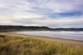 View on the bay of Curio Bay in the Catlins, New Zealand, South Island,