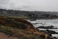 View of Bay with Native Plants Royalty Free Stock Photo