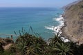 View of Bay with Native Plants Royalty Free Stock Photo