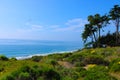 View of the beach from the cliffs with blue ocean water and yellow flowers Royalty Free Stock Photo