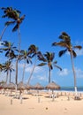 Beach of Cumbuco near Fortaleza, Brazil Royalty Free Stock Photo