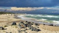 View at the beach of Jeffrey\'s bay in South Africa Royalty Free Stock Photo