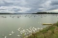 View on the beach Lido, Zemun Royalty Free Stock Photo