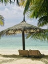View on beach maldives Royalty Free Stock Photo