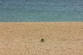 The beach of ouistreham in france