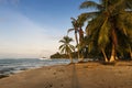 View of a beach with palm trees and boats in Puerto Viejo de Talamanca, Costa Rica Royalty Free Stock Photo