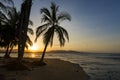 View of the beach with palm trees in Puerto Viejo de Talamanca, Costa Rica at sunset Royalty Free Stock Photo