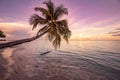 Twilight dreamy beach sunset, swing on palm tree over calm sea lagoon bay. Vertical landscape, shore romantic travel scene