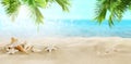 Coconut palms on a tropical beach. Royalty Free Stock Photo