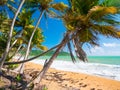 View of the beach from Punta Tuna Wetlands Nature Reserve - Puerto Rico - USA