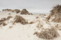 Dunes on Romo Island - Denmark.