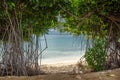 View of the beach through some trees in Oranjestad, Aruba.