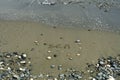 Beach with word Sea written on sand