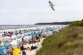 The view of the beach of Zempin on the island of Usedom with many beach chairs